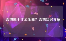 吉他属于什么乐器？吉他知识介绍