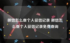 微信怎么查个人征信记录 微信怎么查个人征信记录免费查询