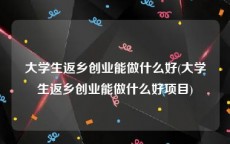 大学生返乡创业能做什么好(大学生返乡创业能做什么好项目)