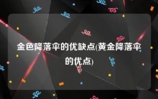 金色降落伞的优缺点(黄金降落伞的优点)