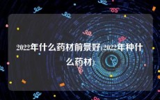 2022年什么药材前景好(2022年种什么药材)