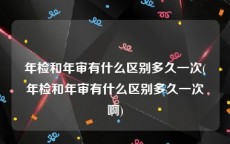 年检和年审有什么区别多久一次(年检和年审有什么区别多久一次啊)