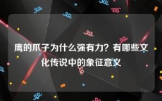 鹰的爪子为什么强有力？有哪些文化传说中的象征意义