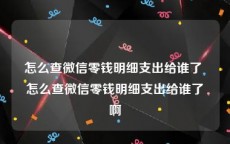 怎么查微信零钱明细支出给谁了 怎么查微信零钱明细支出给谁了啊