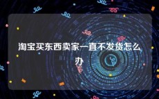 淘宝买东西卖家一直不发货怎么办