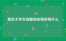 现在大学生创新创业项目有什么