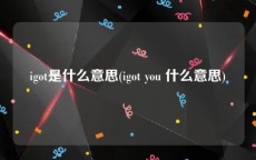 igot是什么意思(igot you 什么意思)