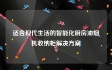 适合现代生活的智能化厨房油烟机收纳柜解决方案