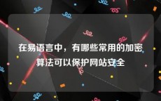 在易语言中，有哪些常用的加密算法可以保护网站安全