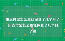 用支付宝怎么查社保交了几个月了 用支付宝怎么查社保交了几个月了呢