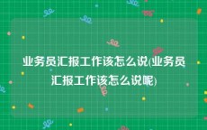 业务员汇报工作该怎么说(业务员汇报工作该怎么说呢)