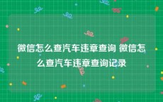 微信怎么查汽车违章查询 微信怎么查汽车违章查询记录