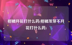 柑橘开花打什么药(柑橘发芽不开花打什么药)