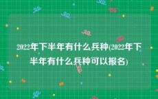 2022年下半年有什么兵种(2022年下半年有什么兵种可以报名)