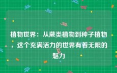 植物世界：从蕨类植物到种子植物，这个充满活力的世界有着无限的魅力