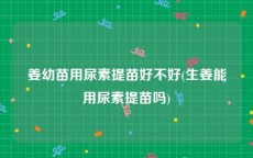 姜幼苗用尿素提苗好不好(生姜能用尿素提苗吗)