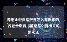 养老金缴费指数是怎么算出来的 养老金缴费指数是怎么算出来的黑龙江