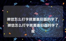 微信怎么打字就覆盖后面的字了 微信怎么打字就覆盖后面的字了呢