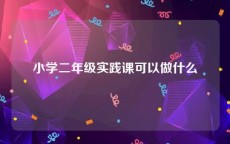 小学二年级实践课可以做什么