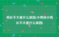 鸡长不大是什么原因(小男孩小鸡长不大是什么原因)