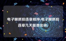 电子眼抓拍违章程序(电子眼抓拍违章几天能查出来)