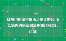 红烧肉的家常做法步骤详解窍门(红烧肉的家常做法步骤详解窍门详细)