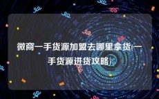 微商一手货源加盟去哪里拿货(一手货源进货攻略)