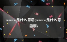 remarks是什么意思(remarks是什么意思啊)