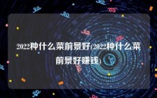 2022种什么菜前景好(2022种什么菜前景好赚钱)