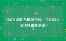 30公斤液化气瓶多少钱一个(30公斤液化气罐多少钱)