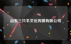 山东三只羊文化传媒有限公司