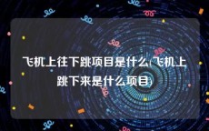 飞机上往下跳项目是什么(飞机上跳下来是什么项目)