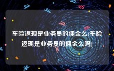 车险返现是业务员的佣金么(车险返现是业务员的佣金么吗)