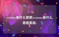 economy是什么意思(economy是什么意思英语)