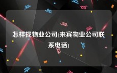 怎样找物业公司(来宾物业公司联系电话)