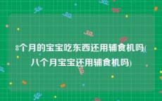 8个月的宝宝吃东西还用辅食机吗(八个月宝宝还用辅食机吗)