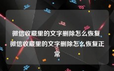 微信收藏里的文字删除怎么恢复 微信收藏里的文字删除怎么恢复正常