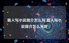 新人写小说简介怎么写 新人写小说简介怎么写好