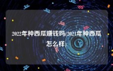 2022年种西瓜赚钱吗(2021年种西瓜怎么样)