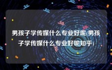 男孩子学传媒什么专业好呢(男孩子学传媒什么专业好呢知乎)