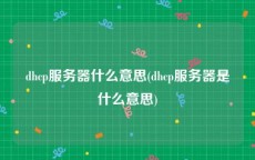 dhcp服务器什么意思(dhcp服务器是什么意思)