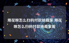 用花呗怎么扫码付款给商家 用花呗怎么扫码付款给商家呢