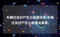 车辆过没过户怎么能查出来(车辆过没过户怎么能查出来呢)