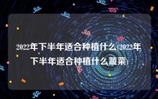 2022年下半年适合种植什么(2022年下半年适合种植什么蔬菜)