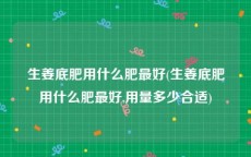 生姜底肥用什么肥最好(生姜底肥用什么肥最好,用量多少合适)