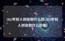 2022年轻人创业做什么好(2022年轻人创业做什么好呢)