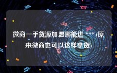 微商一手货源加盟哪能进 *** (原来微商也可以这样拿货)