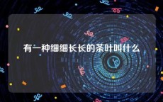 有一种细细长长的茶叶叫什么