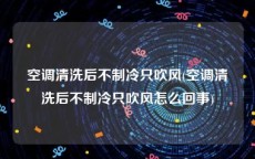 空调清洗后不制冷只吹风(空调清洗后不制冷只吹风怎么回事)