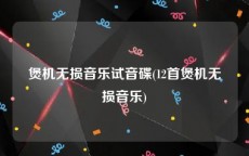 煲机无损音乐试音碟(12首煲机无损音乐)